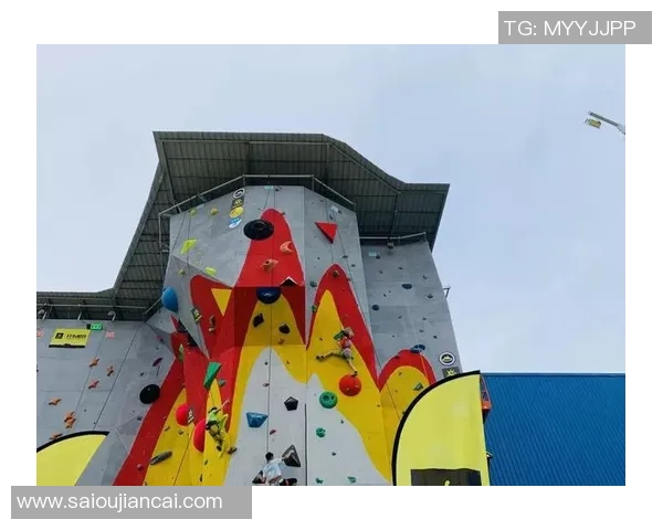 南京攀岩队运营分析：成功经验与不足之处的深度探讨